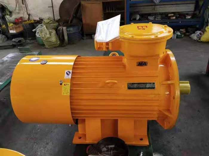 河南省南洋防爆電機(jī)有限公司客戶(hù)訂單YBS 75-4防爆電機(jī)